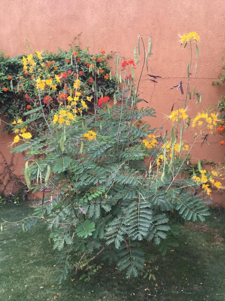Terra Lodge Sénégal M'Bour Esterno foto