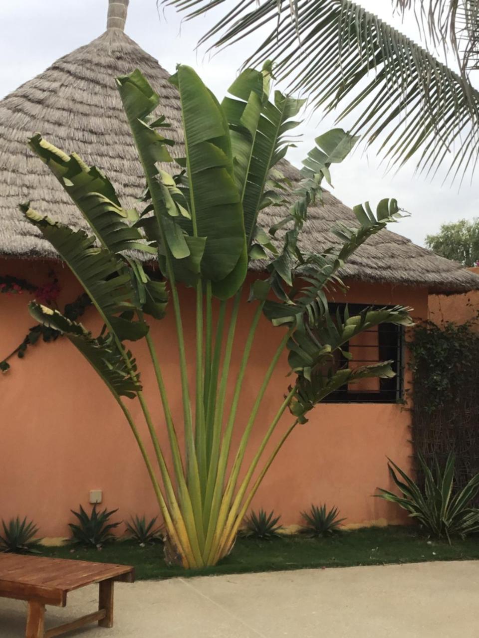 Terra Lodge Sénégal M'Bour Esterno foto