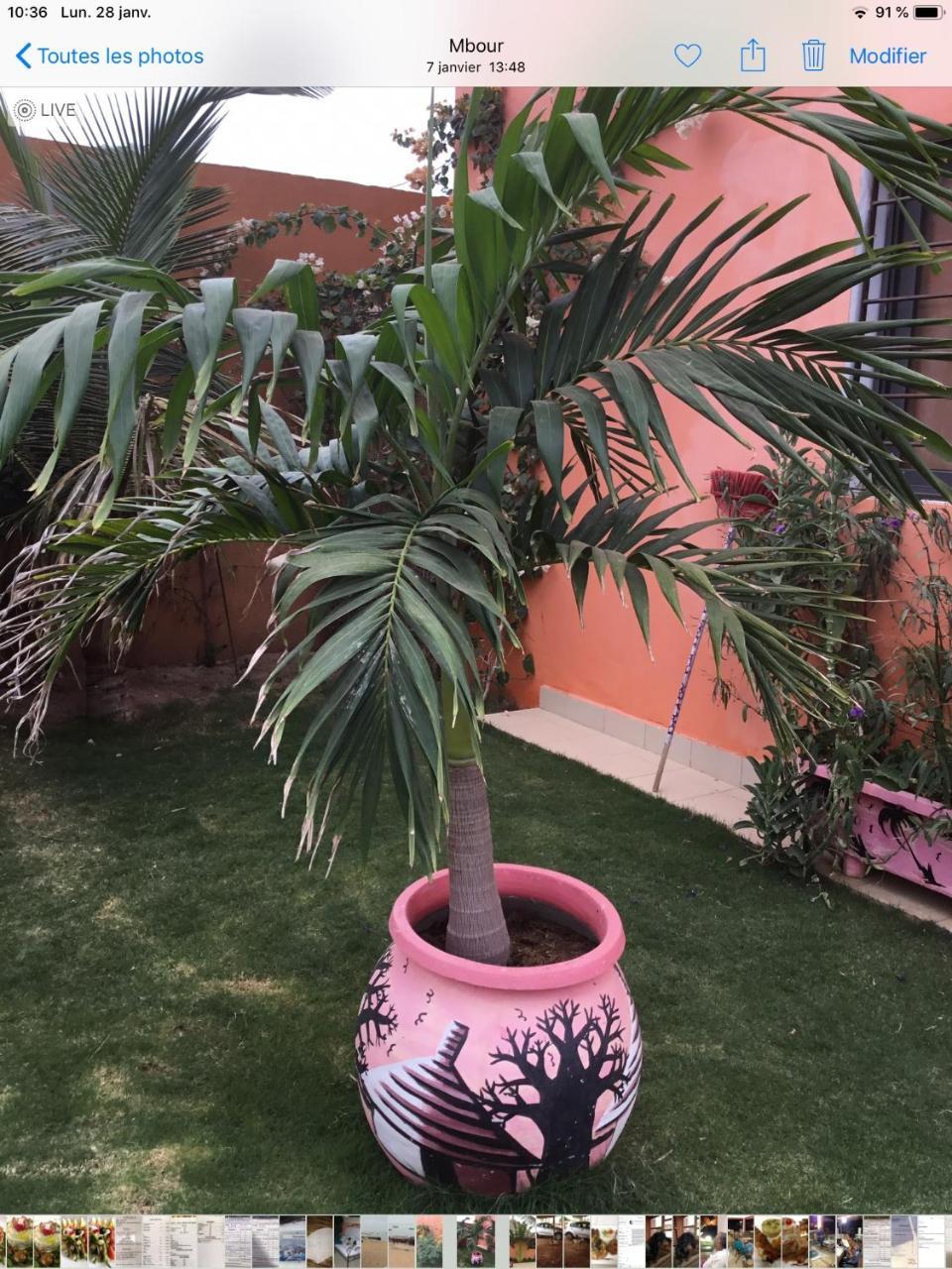 Terra Lodge Sénégal M'Bour Esterno foto